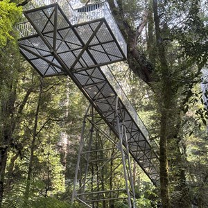 Elevated Lookout