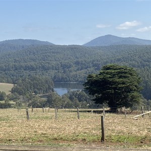 Apex Lookout