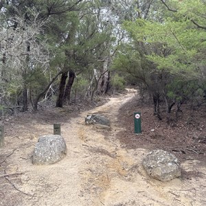 Tongue Point