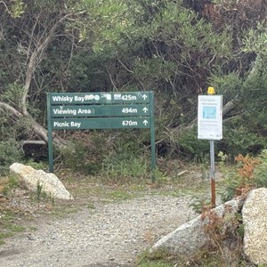 Whiskey Bay Track