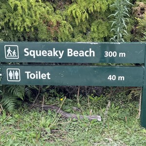 Squeaky Beach Carpark