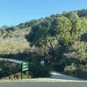 Pillar Point & Tidal Overlook Tracks
