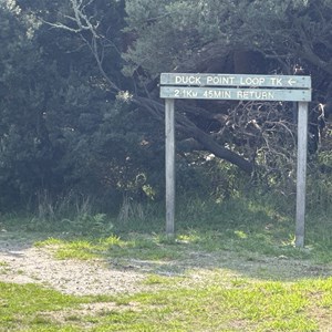 Duck Point Loop Walking Track