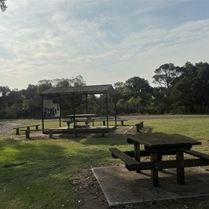 Albert River Reserve