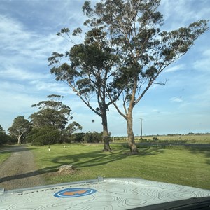 Albert River Reserve