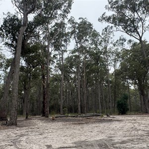 Big Tower Bush Camp