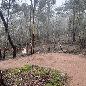 Big Gum Junction