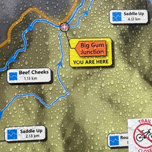 Big Gum Junction