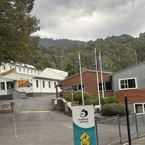 Bogong