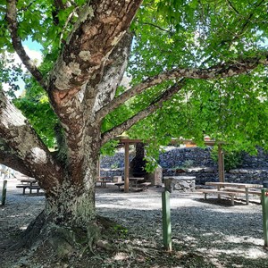 Lakeside picnic area