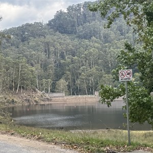 Bogong