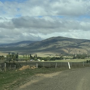 Knocker Track