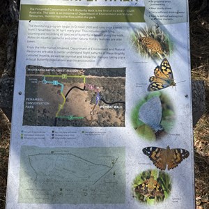 Butterfly Walk