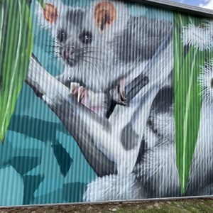 Tolmie Recreation Reserve