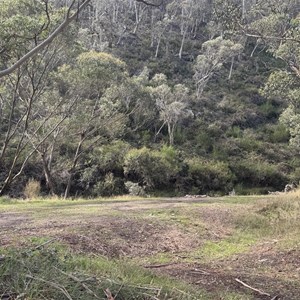 Big River Camp