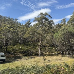 Middle Creek