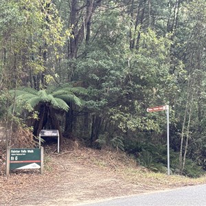 Fainter Falls Track