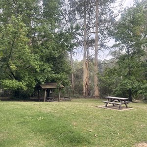 Picnic Area & Walks
