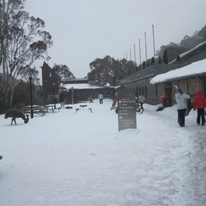 Snow and ice = slip and slide