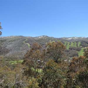 Summer ski slopes