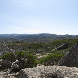 View to west and Main range  - Jan 2020