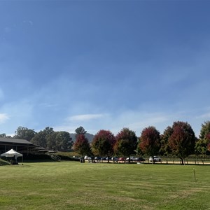 Ringers & Reef Winery