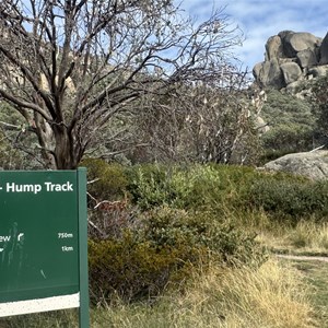 Cathedral - Hump Track