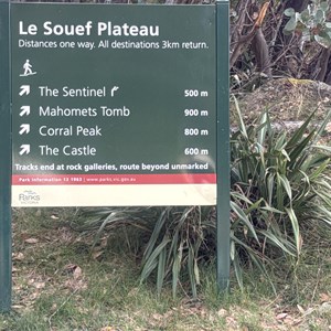 Cathedral Saddle (Le Souef)