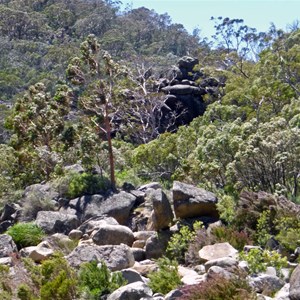 Tors at Gungarlin Weir