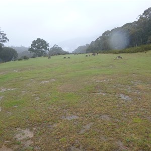 Airstrip landing hazards