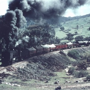 Battling uphill on the Cudgewa line.