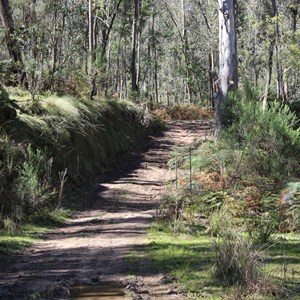 4WD Track, Mt Granya