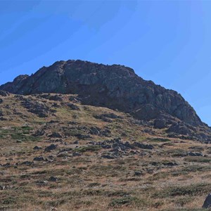 Western flank