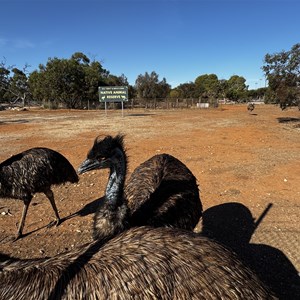 Native Animal Reserve