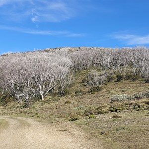 Far Bald Mountain