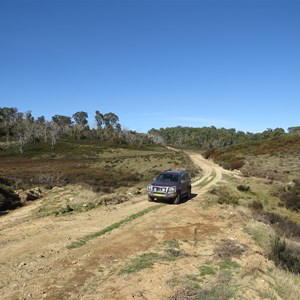 A natural clear grassy area