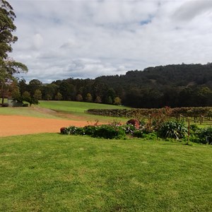 Whimwood Wines