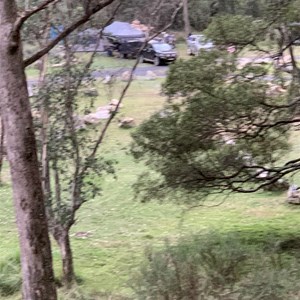Elmo cricket ground