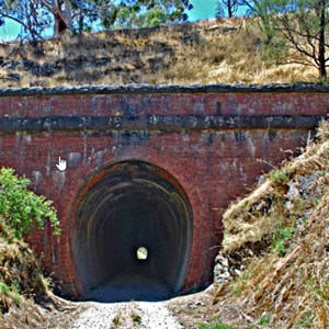 Cheviot Tunnel - part of the Great Victorian Rail Trail