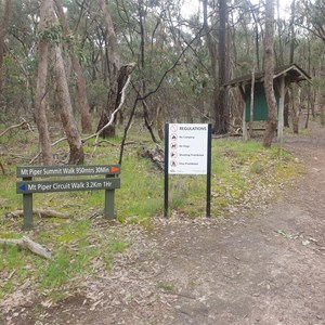 At the trail head. Mt Piper.