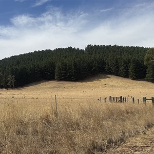 Mount Franklin
