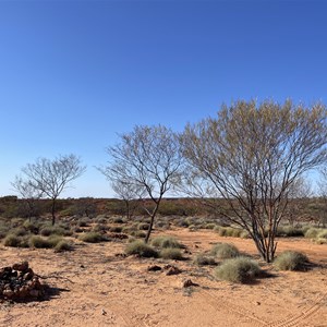 Camp site
