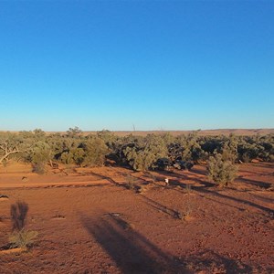 Olarinna camp