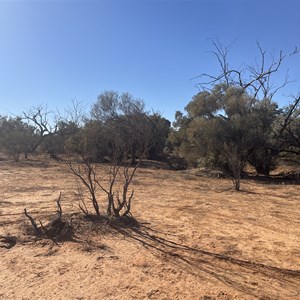 Olarinna camp