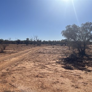 Olarinna camp