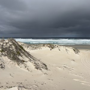 Reef beach dunes
