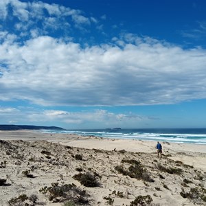 Reef Beach Dunes