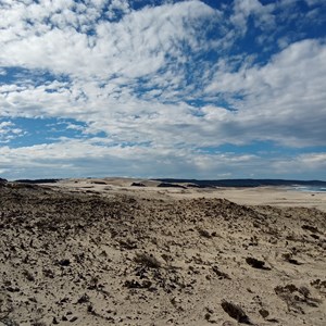 Reef Beach Dunes
