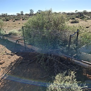 Woolshed and Well