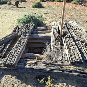 Woolshed and Well